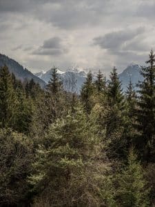 Location à Annecy pour les vacances